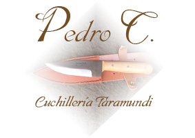 Logotipo de Pedro Conde Bermdez